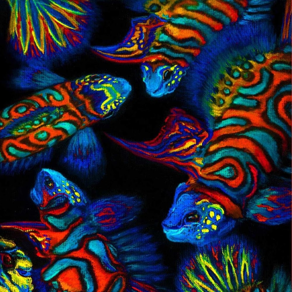 Meet your Posher, Saul